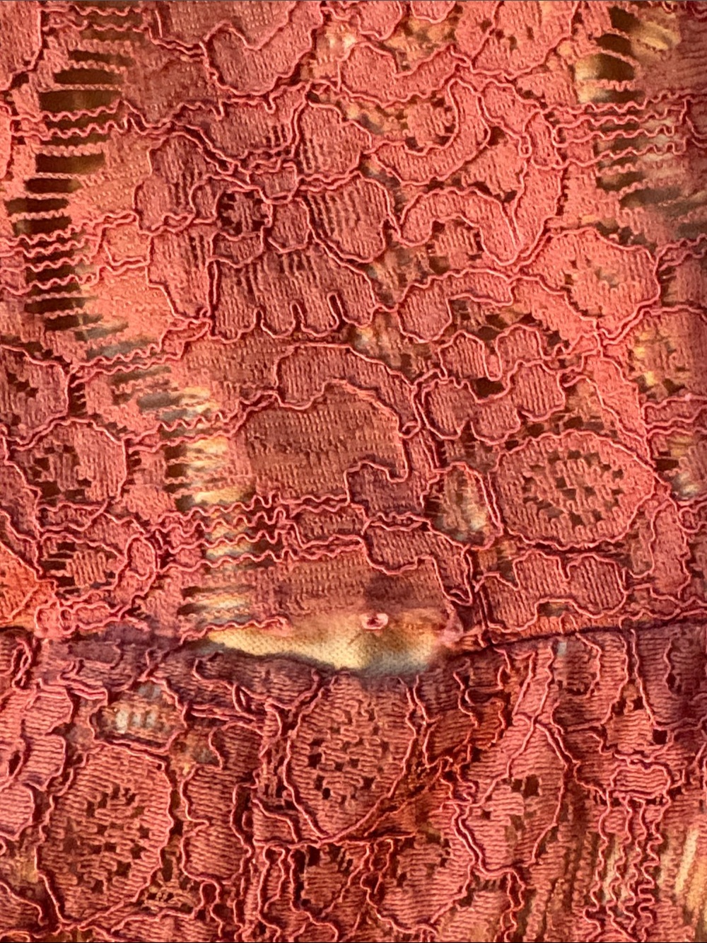 Francesca’s Coral Lace Midi Dress with Cream Tulle Hem - Picture 7 of 8
